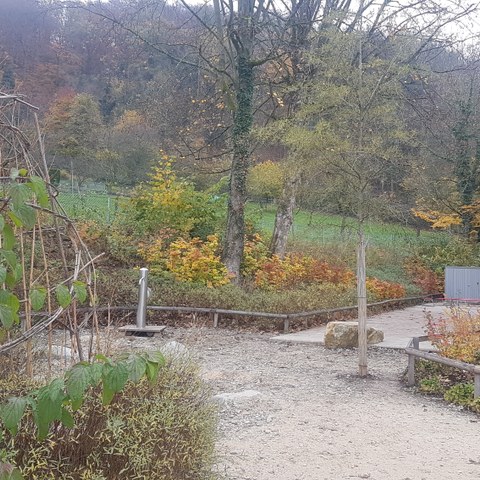 20201105 095548. Vergrösserte Ansicht